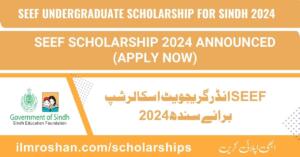 SEEF Undergraduate Scholarship for Sindh 2024