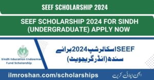 SEEF Scholarship 2024 for Sindh (Undergraduate)