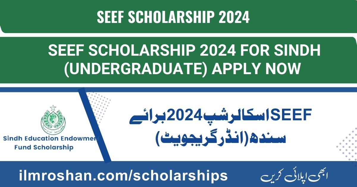 SEEF Scholarship 2024 for Sindh (Undergraduate)