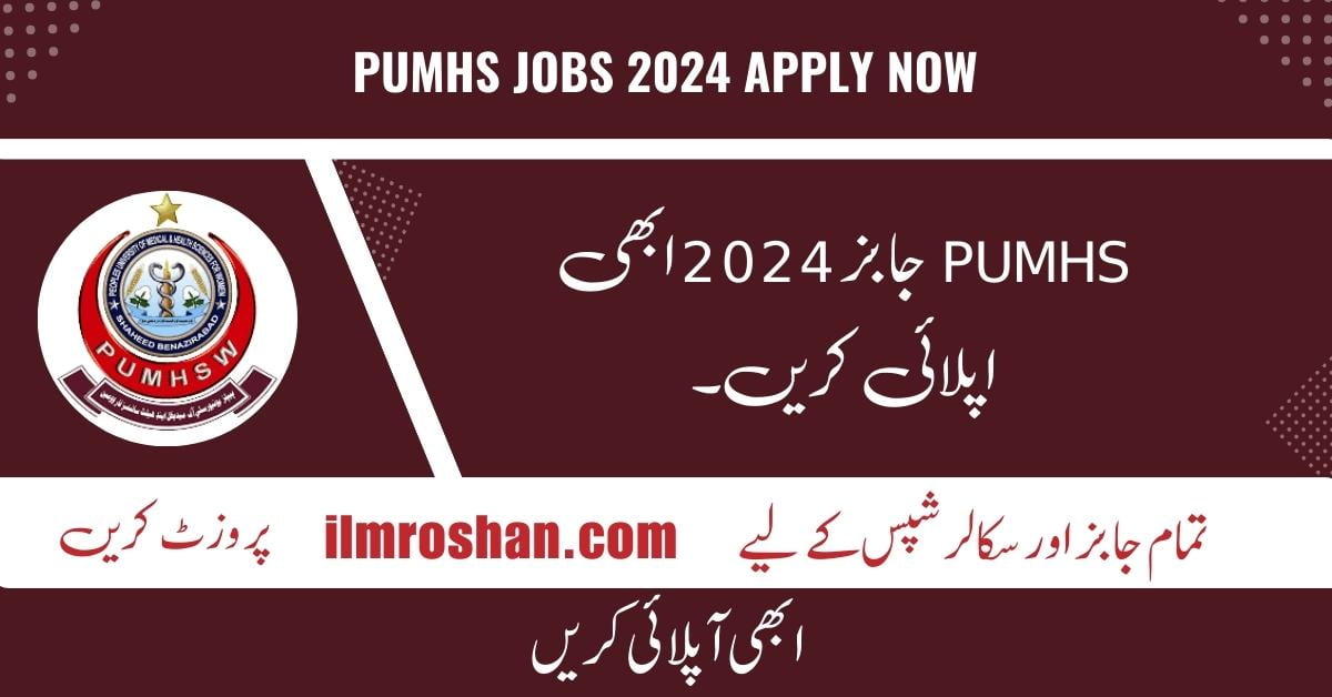 PUMHS Jobs 2024 Apply Now