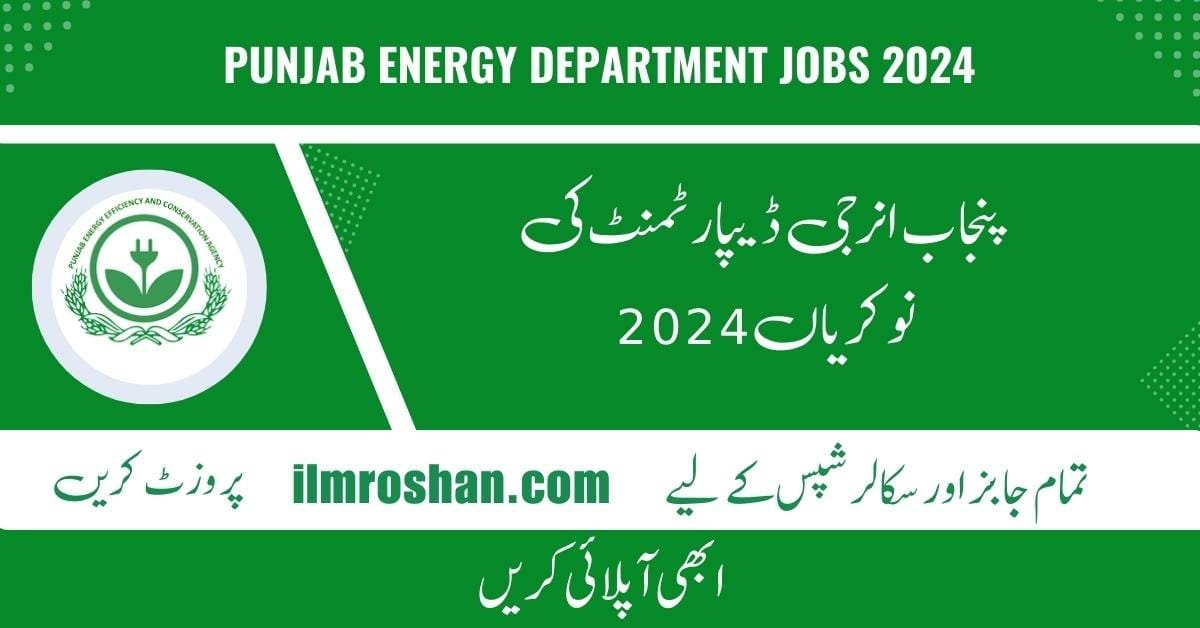 Punjab Energy Department Jobs 2024