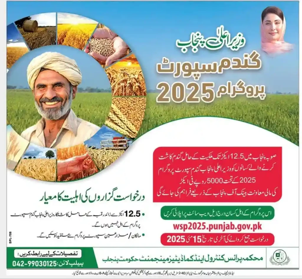 Punjab Wheat Support Program 2025 Advertisement ilm roshan Punjab Wheat Support Program 2025 Online Apply ads